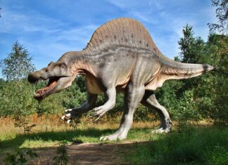 Jak wyglądała Ziemia za czasów dinozaurów?