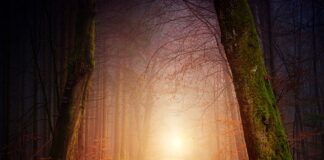 Jakie powinno być oświetlenie w pokoju dziecka?