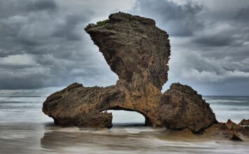 Ile lat ma Ken i Barbie?