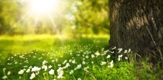 Jakie światło jest lepsze dla oczu białe czy żółte?