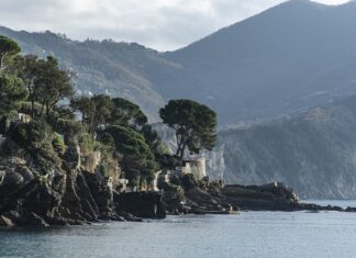 Ile kosztuje płyta LEGO?