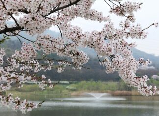 Co robi 6 miesięczne dziecko?