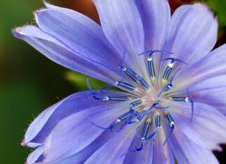 Jakie zamienniki LEGO?