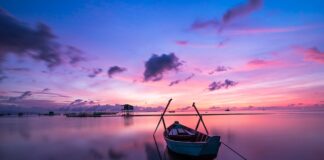 Jaki kolor ledów pomaga w nauce?